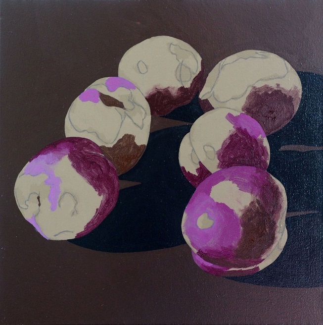 Progress Picture 2/9 for Six Nectarines