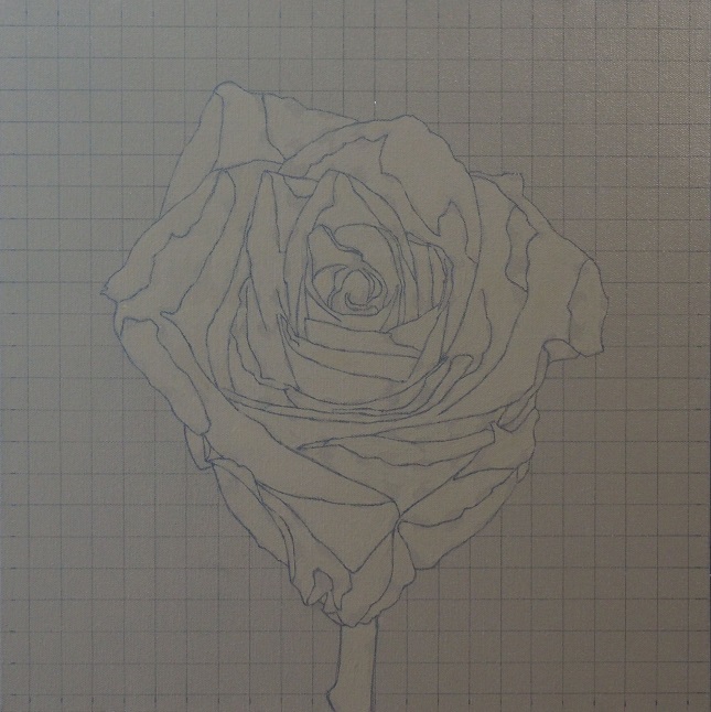 Progress Picture 1/10 for Red Rose