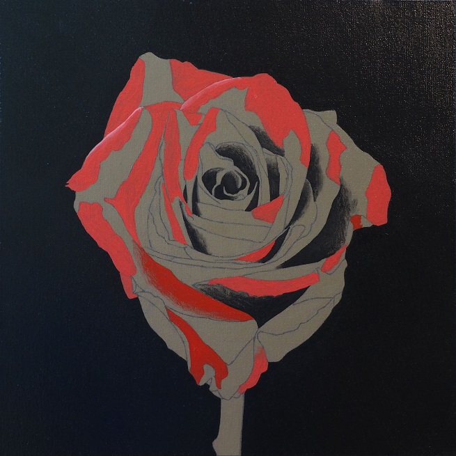 Progress Picture 3/10 for Red Rose