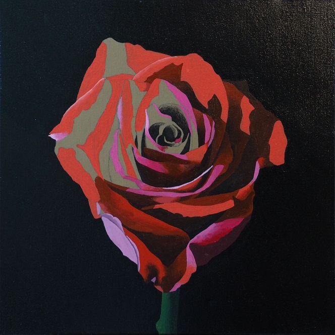 Progress Picture 4/10 for Red Rose