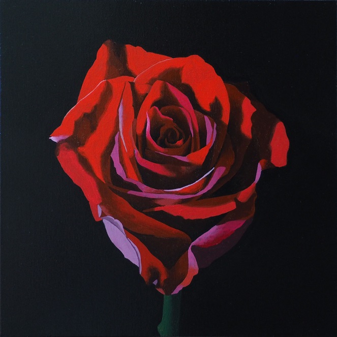 Progress Picture 5/10 for Red Rose