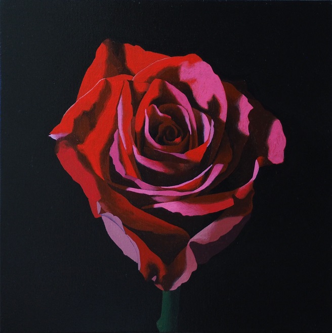 Progress Picture 6/10 for Red Rose