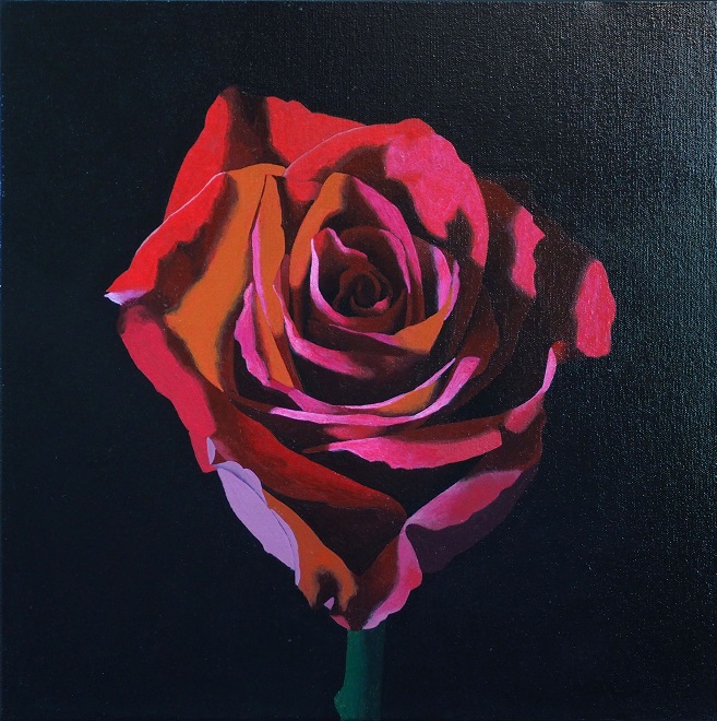 Progress Picture 7/10 for Red Rose