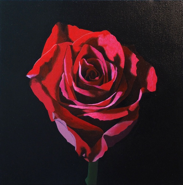 Progress Picture 8/10 for Red Rose