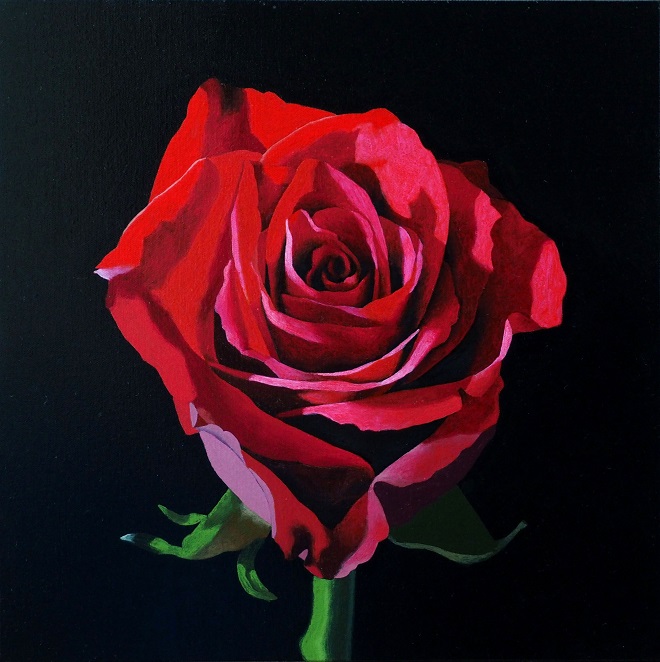 Progress Picture 9/10 for Red Rose